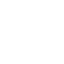 Pragmatic logo
